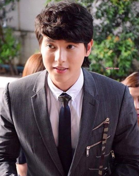 เจมส์ จิรายุ ร่วมเดินพรมสีม่วงในงาน Nine Entertain Awards 2016