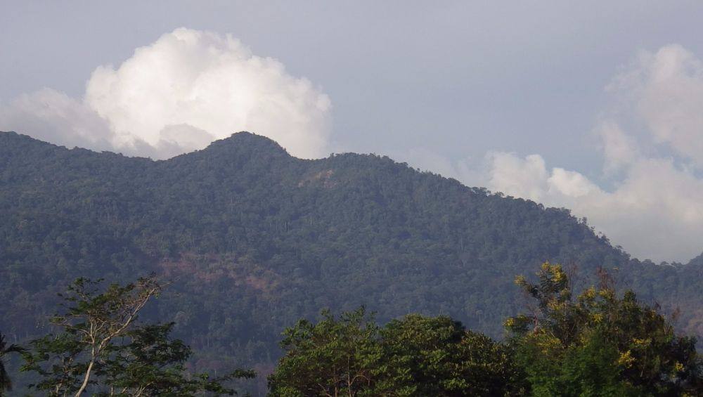 เขาหลวง ฤดูร้อน