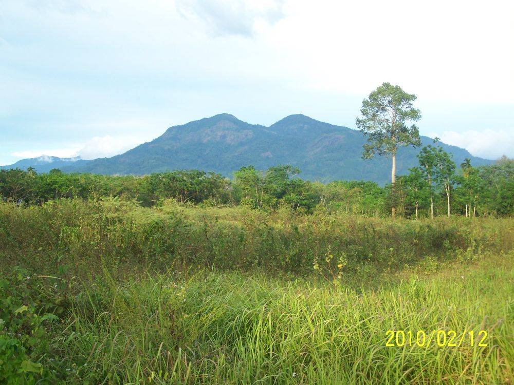 เขาหลวง ข้างถนน 4015 ต.ช้างกลาง