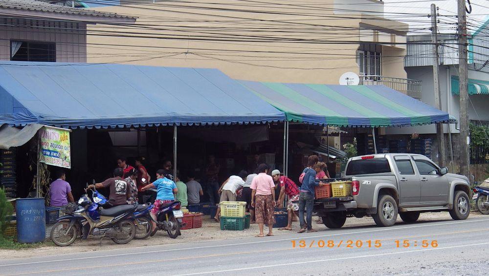 รับซื้อผลไม้