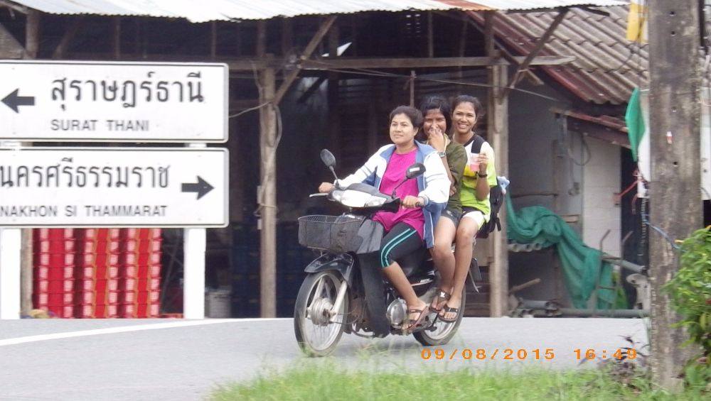 ภาพชีวิตประจำวัน