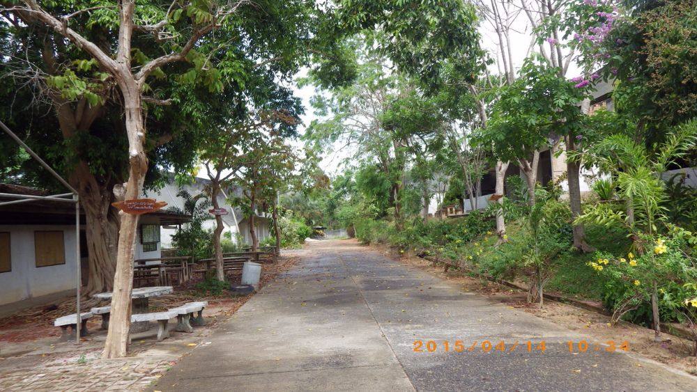 ด้านหลังโรงเรียน