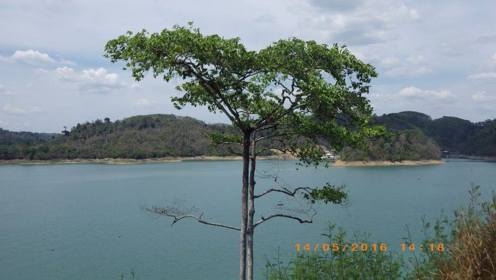 ชมวิวเขื่อนเชี่ยวหลาน สุราษฏร์ธานี