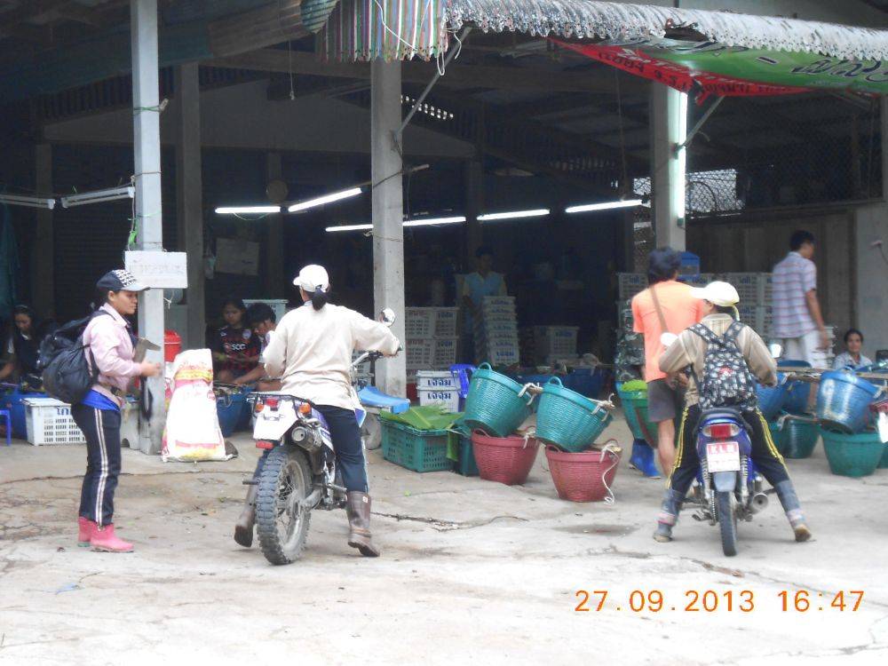 จุดรับซื้อสินค้าเกษตรกร