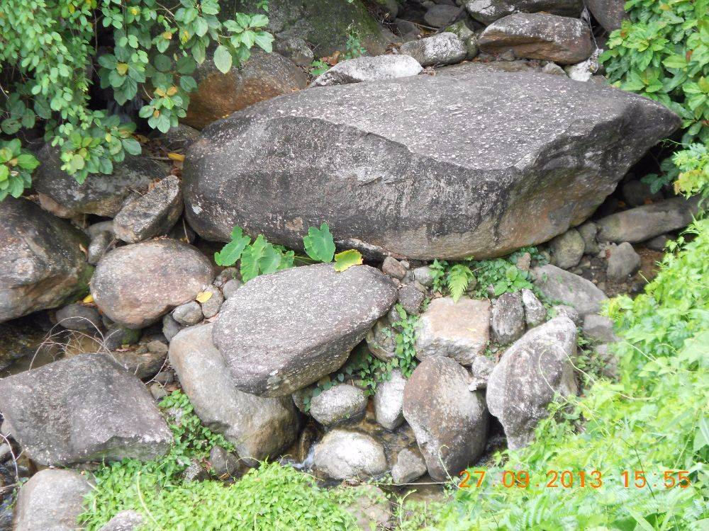 ธรรมชาติ