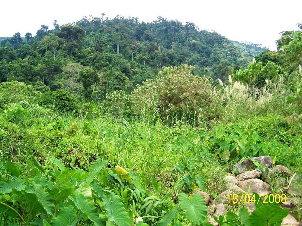 อุทยานแห่งชาติเขาหลวง น้ำตกเหนือฟ้า อ.พิปูน จ.นครศรีธรรมราช
