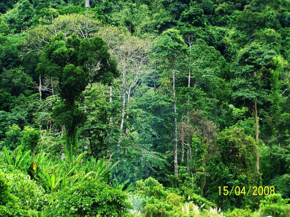 อุทยานแห่งชาติเขาหลวง น้ำตกเหนือฟ้า อ.พิปูน จ.นครศรีธรรมราช