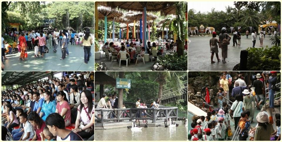 ย้อนอดีต Safari World