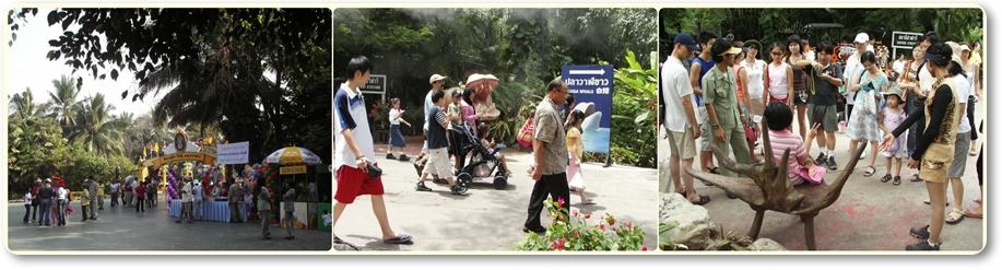 ย้อนอดีต Safari World