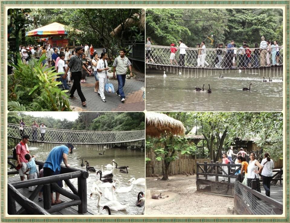 ย้อนอดีต Safari World