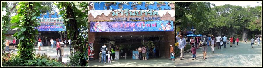 ย้อนอดีต Safari World