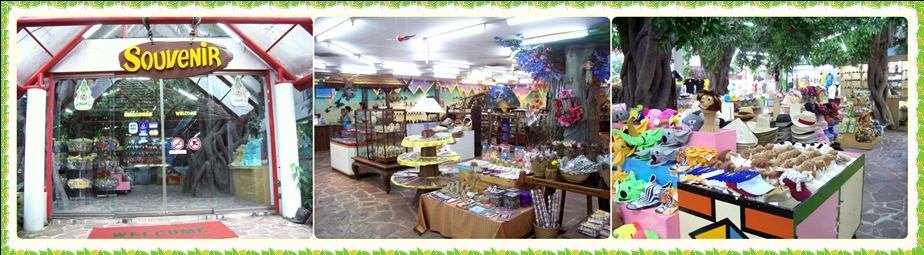 ย้อนอดีต Safari World