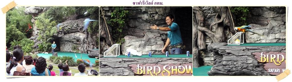 ย้อนอดีต Safari World