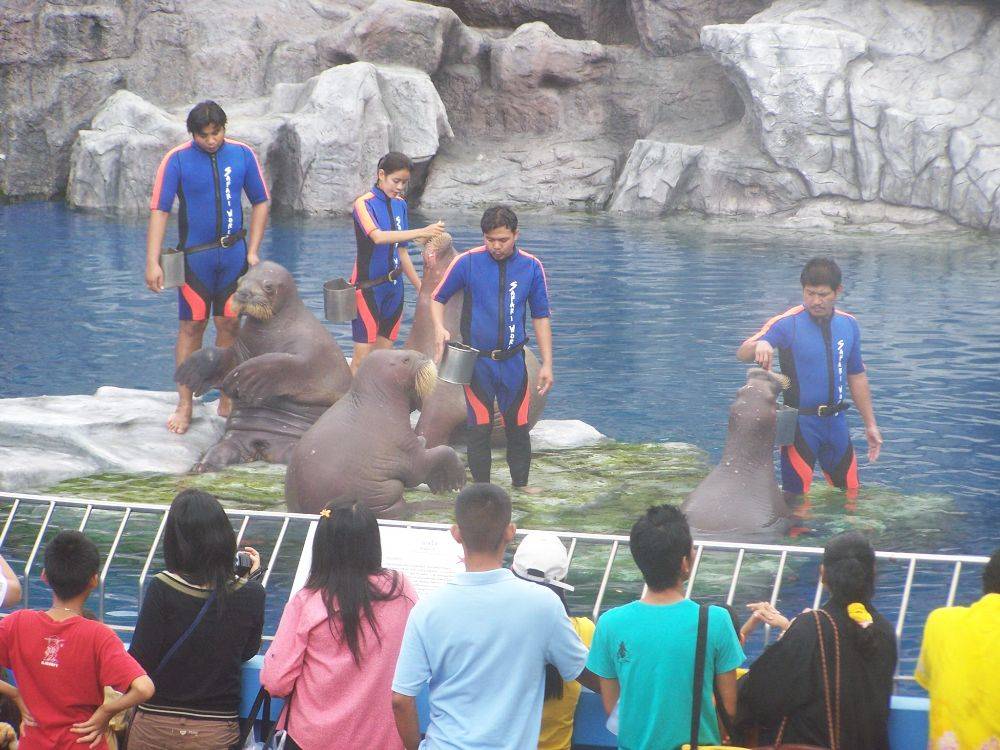 ย้อนอดีต Safari World