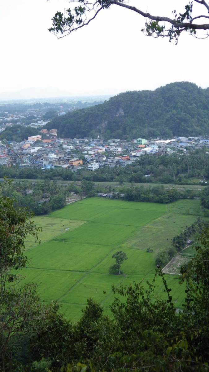 ธรรมชาติ