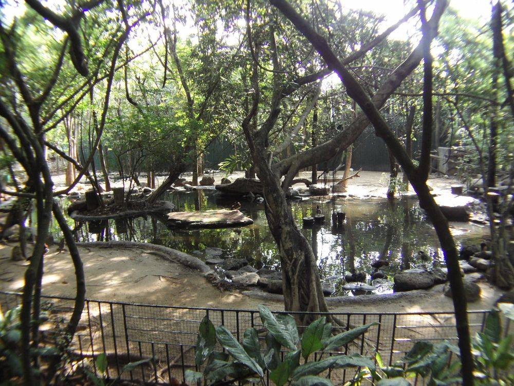 ย้อนอดีต Safari World ตอน ๒
