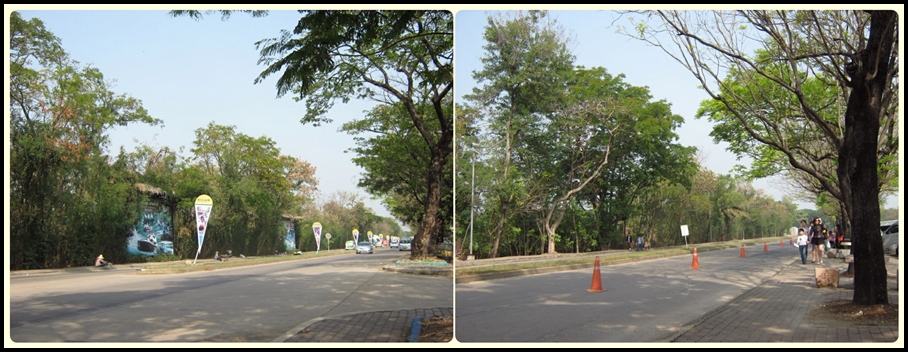 ย้อนอดีต Safari World ตอน ๒