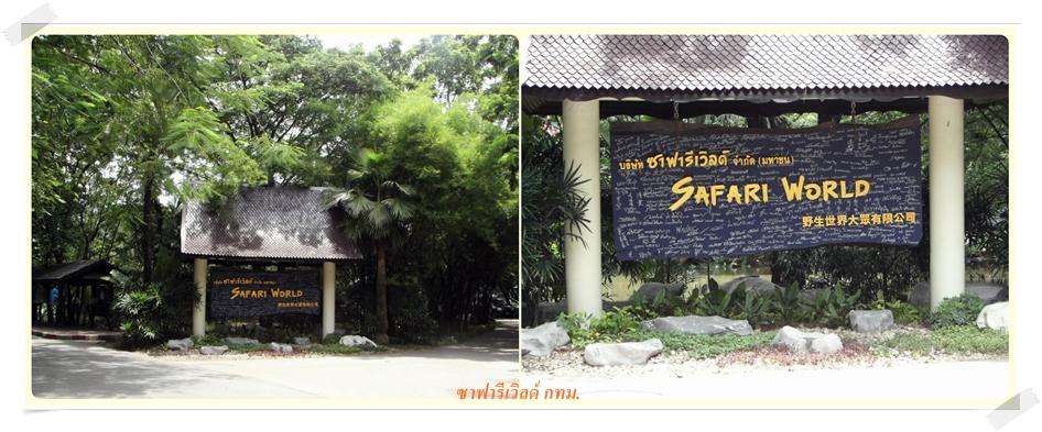 สำนักงานซาฟารีเวิลด์