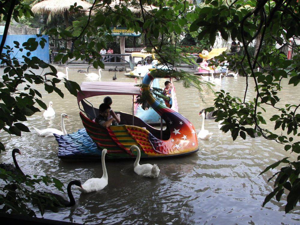 ปี ค.ศ.2005