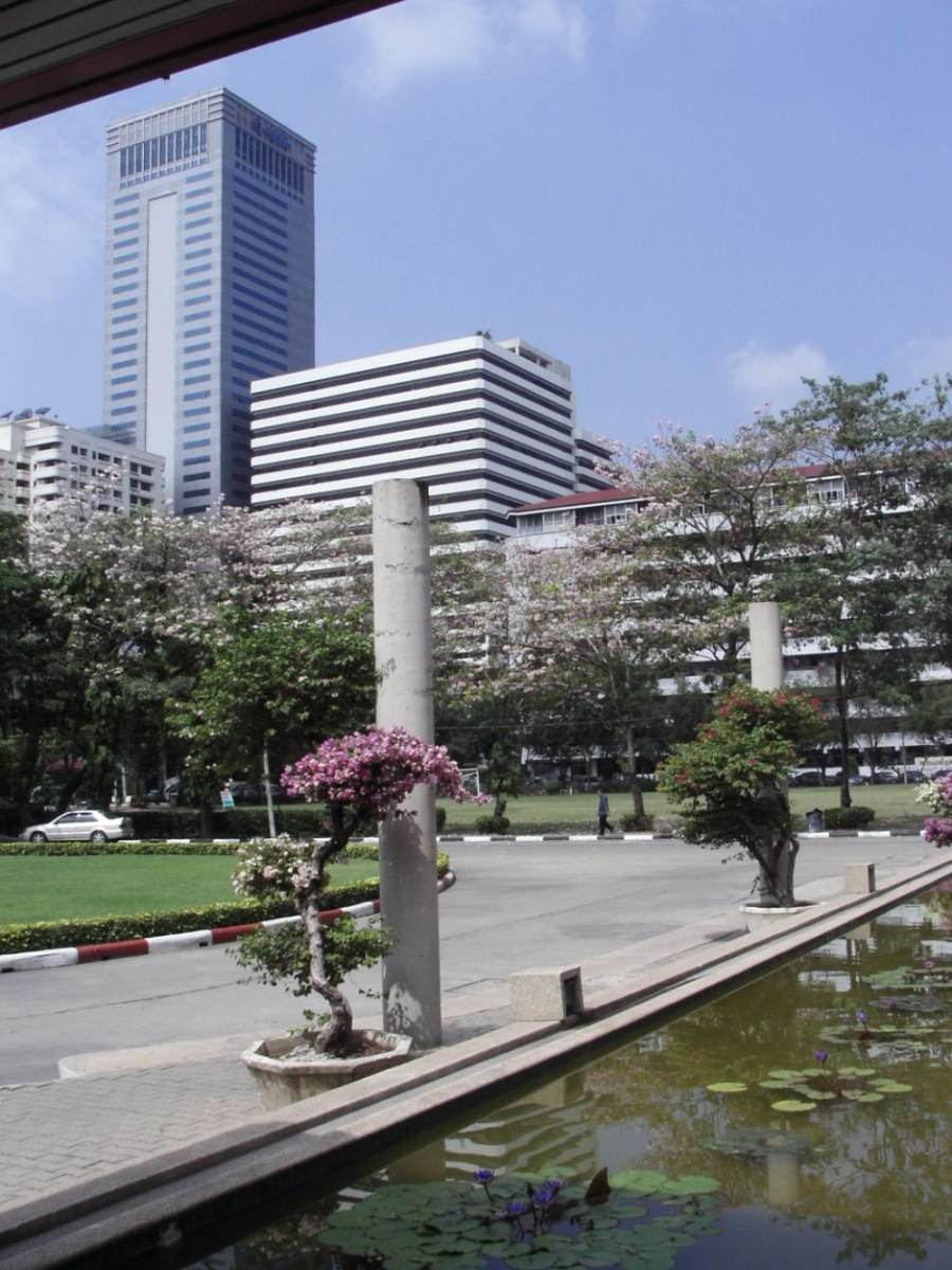 มองจาก มศว.ประสานมิตร ปี ค.ศ.2005