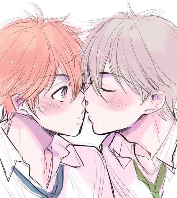 YAOI 355