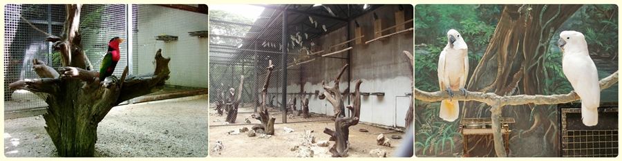 สัตว์ต่าง ๆ ที่ซาฟารีเวิลด์  safari world