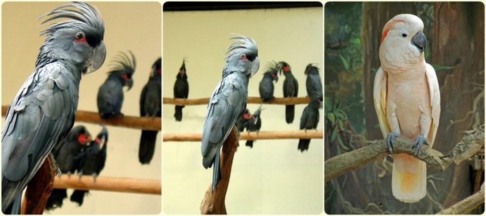 สัตว์ต่าง ๆ ที่ซาฟารีเวิลด์  safari world