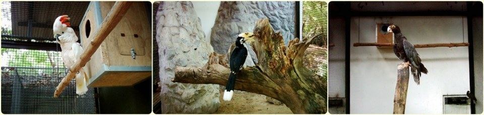 สัตว์ต่าง ๆ ที่ซาฟารีเวิลด์  safari world