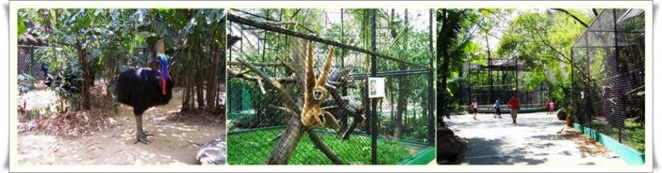 สัตว์ต่าง ๆ ที่ซาฟารีเวิลด์  safari world