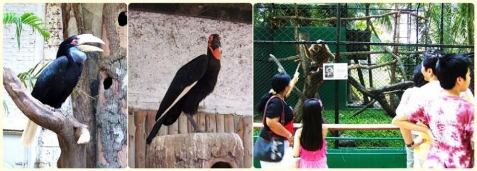 สัตว์ต่าง ๆ ที่ซาฟารีเวิลด์  safari world