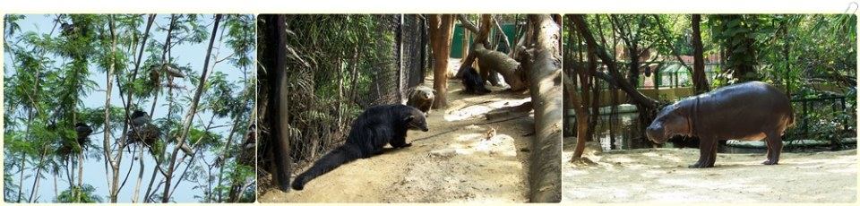 สัตว์ต่าง ๆ ที่ซาฟารีเวิลด์  safari world