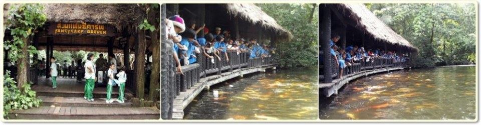สัตว์ต่าง ๆ ที่ซาฟารีเวิลด์  safari world