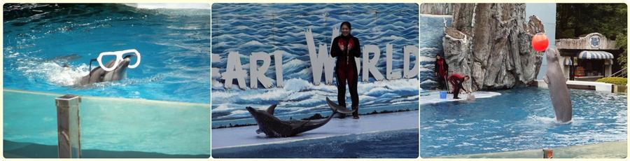 สัตว์ต่าง ๆ ที่ซาฟารีเวิลด์  safari world