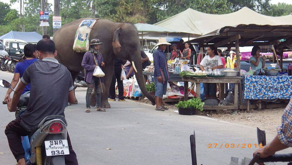ตลาดนัดมะนาวหวาน วันอาทิตย์