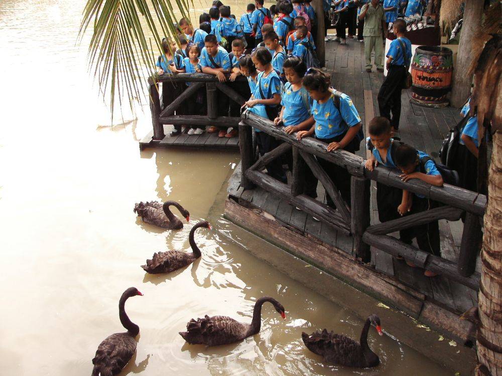 นักเรียนทัศนศึกษา ที่ ซาฟารีเวิลด์