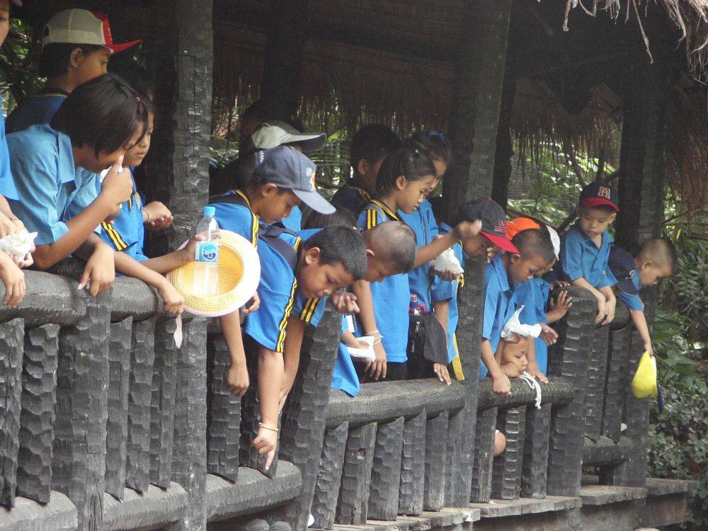 นักเรียนทัศนศึกษา ที่ ซาฟารีเวิลด์