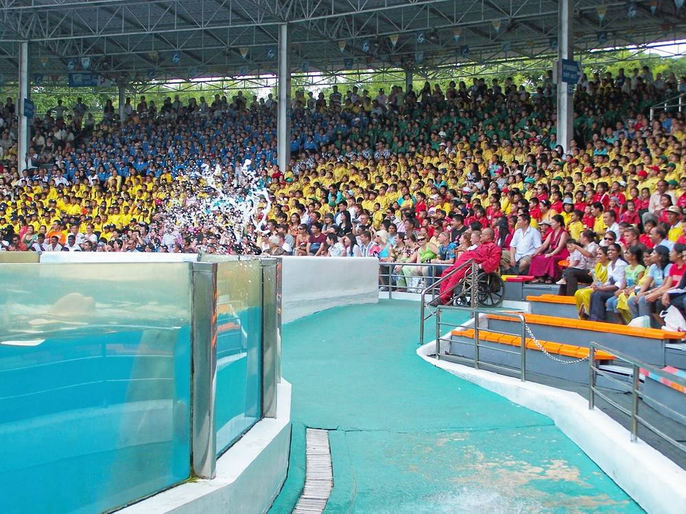 นักเรียนทัศนศึกษา ที่ ซาฟารีเวิลด์