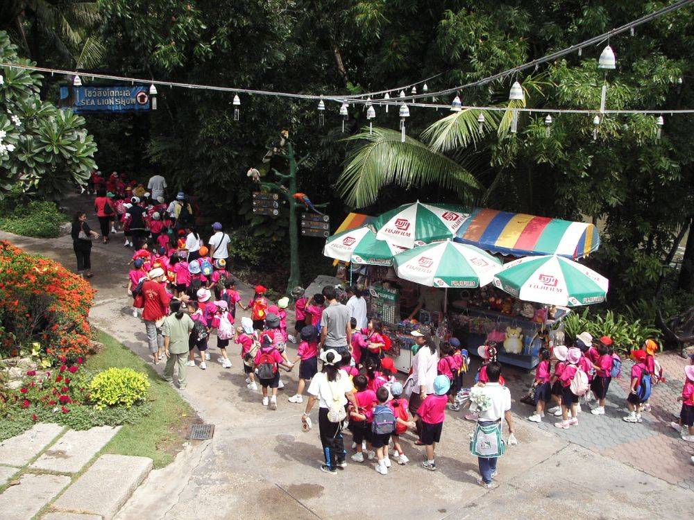 นักเรียนทัศนศึกษา ที่ ซาฟารีเวิลด์
