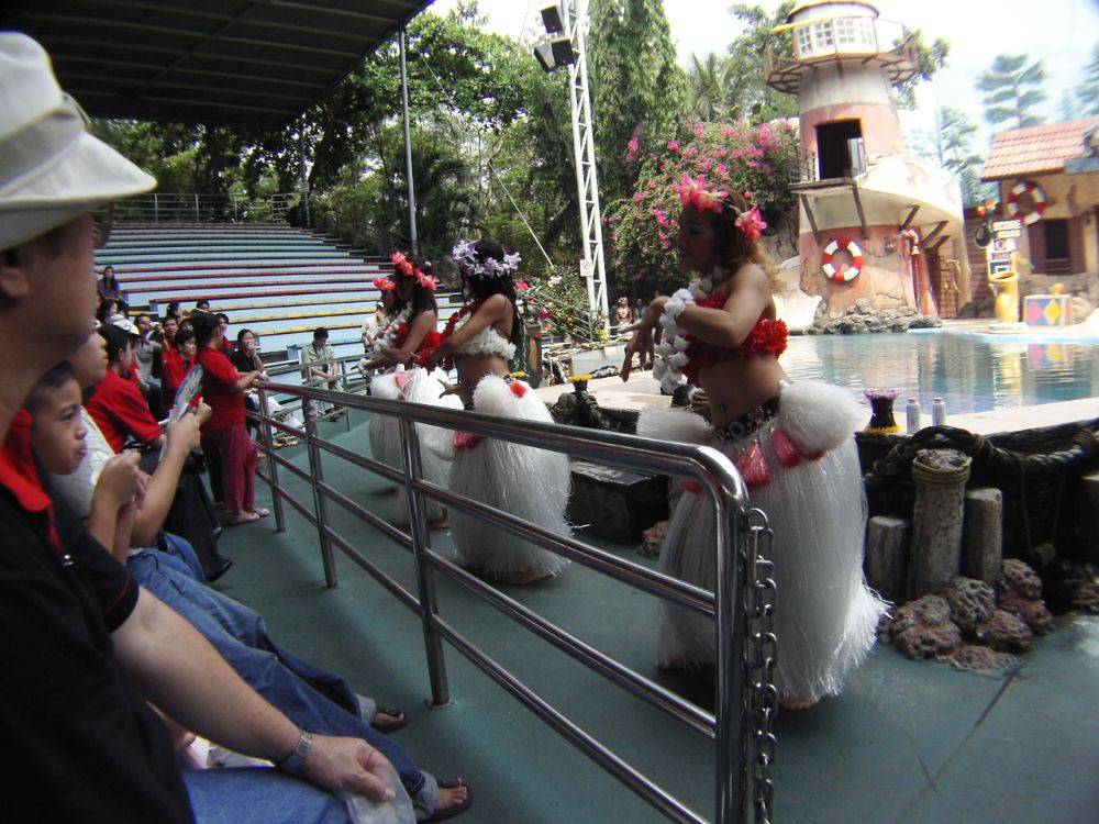 ระบำฮาวาย โดยพนักงานซาฟารีเวิลด์