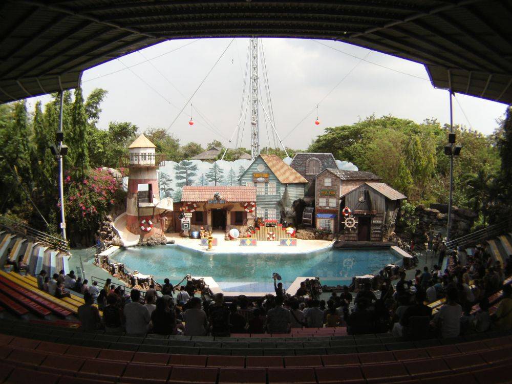 เวทีแมวน้ำ