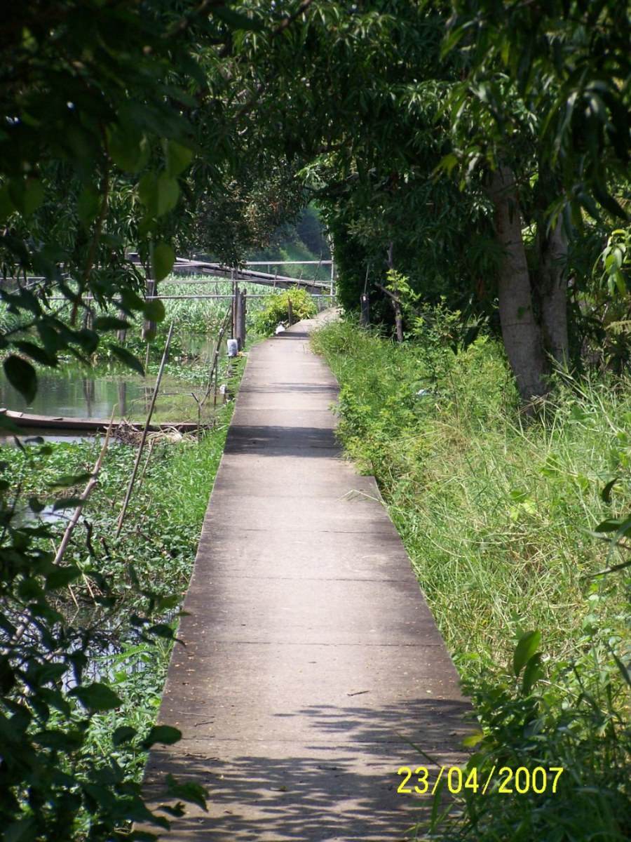 ทางเดิน