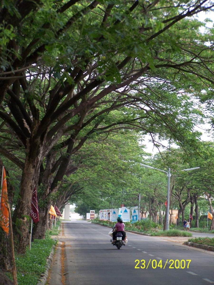 ข้างสนามกอล์ฟ ใกล้ซาฟารีเวิลด์