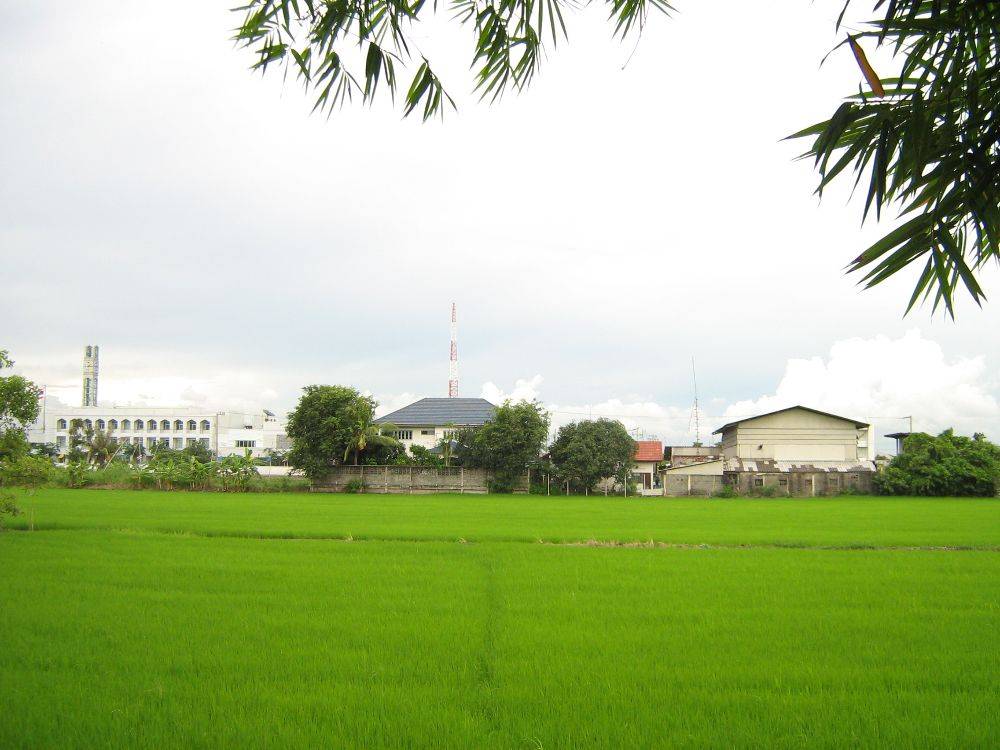 สำนักงานเขตคลองสามวา