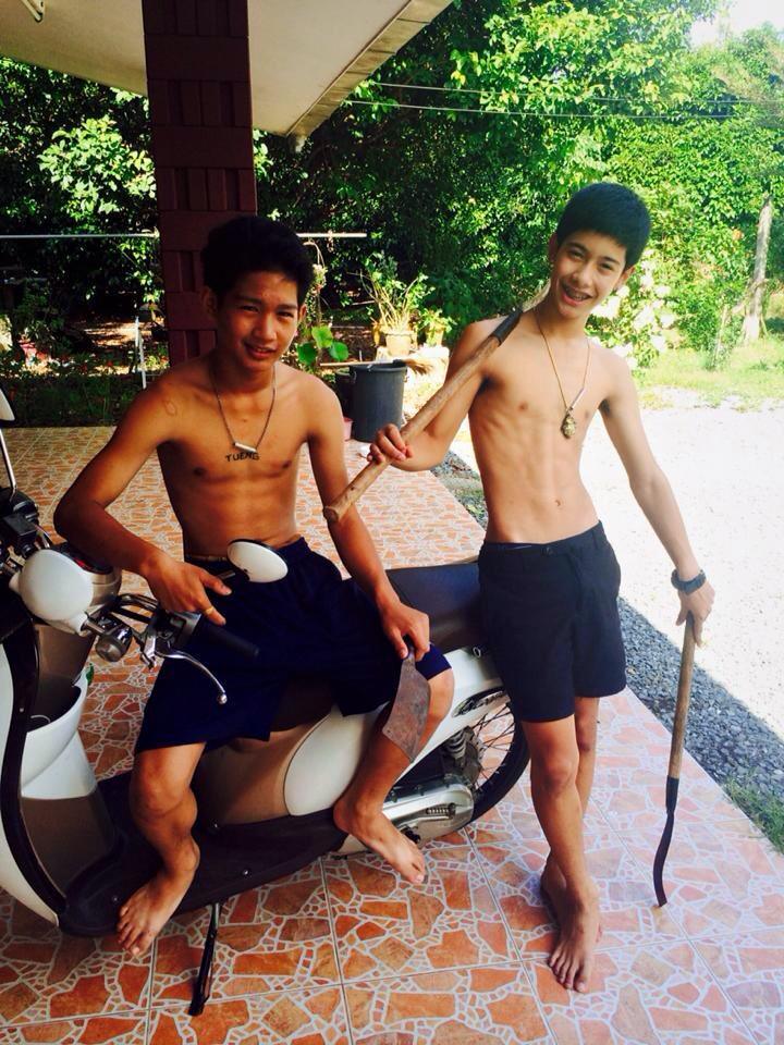 ตาดีได้ตาร้ายเสีย 994