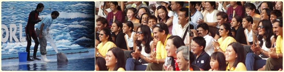 การแสดงโลมา วาฬขาว ที่ ซาฟารีเวิลด์