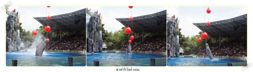 ชนบอล