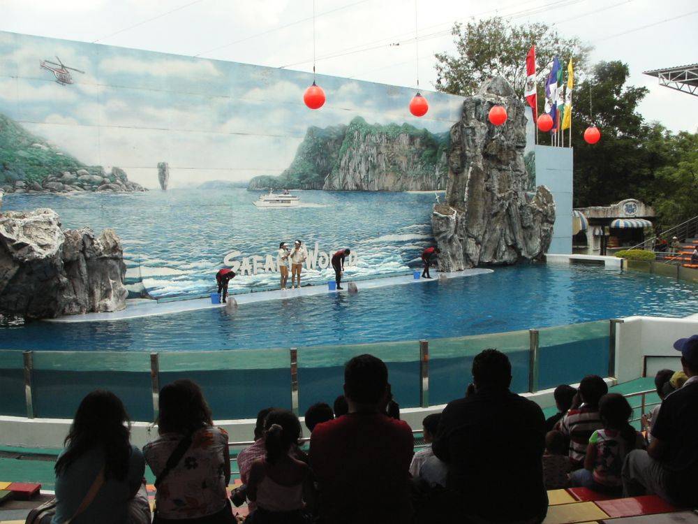 การแสดงโลมา วาฬขาว ที่ ซาฟารีเวิลด์