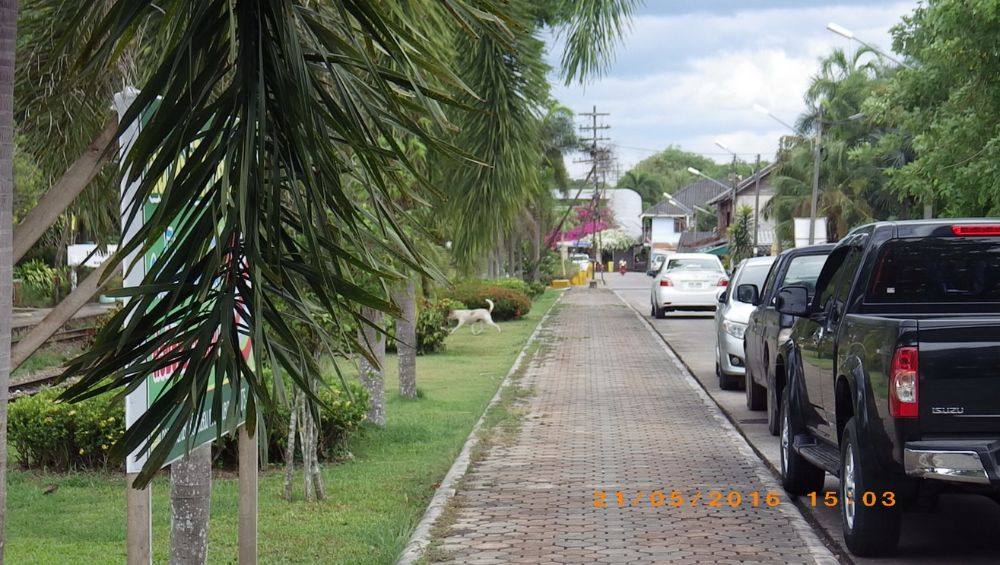 ตรงข้ามสถานีรถไฟนาบอน