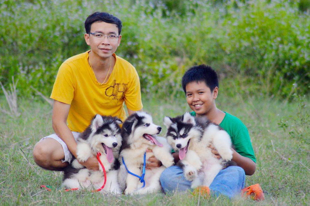 ไซบีเรียนฮัสกี้ ใครสนใจ Facebook:ลูน่าน้องหมาไซบีเรียน
