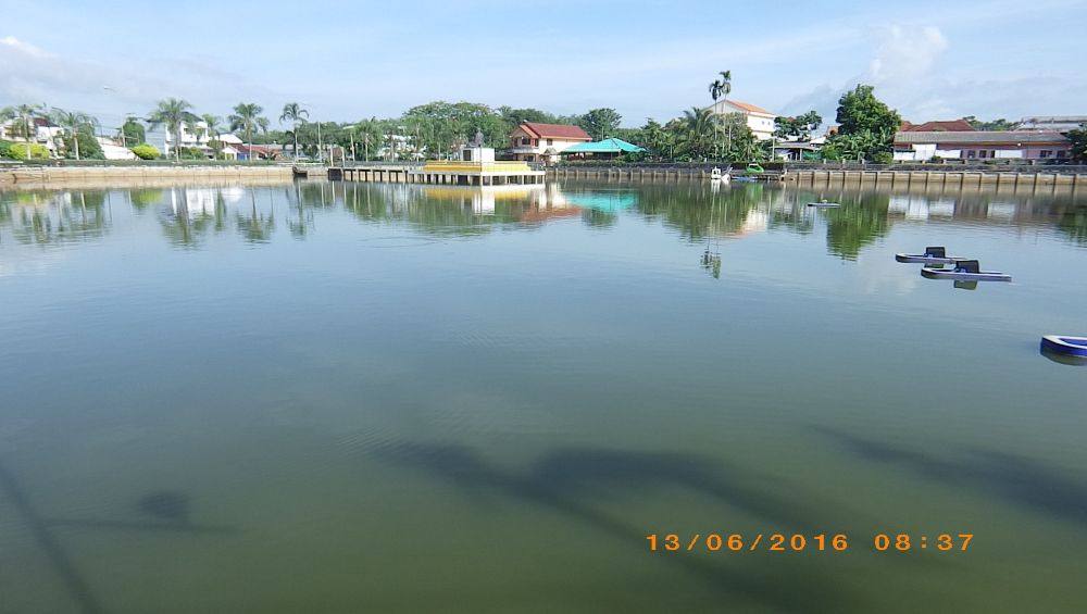 สวนสาธารณะหนองไม้ตาย